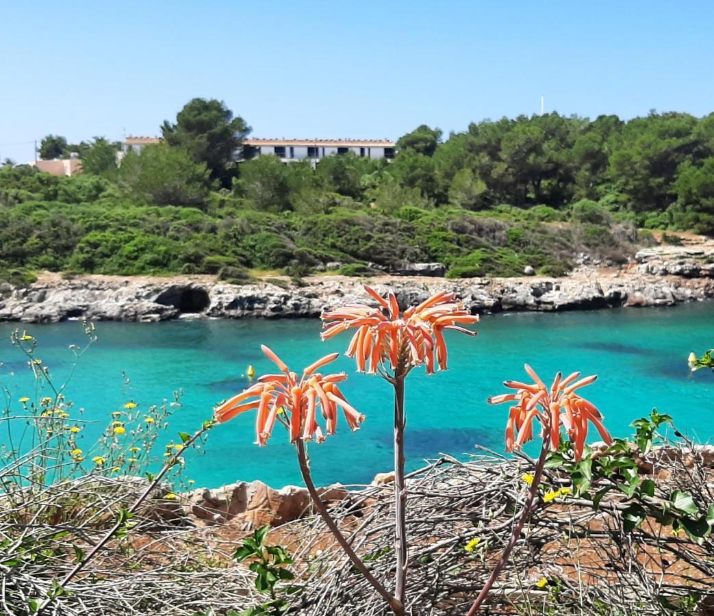 Atico Playa Santandria Con Piscina Y Wifi Villa Ciutadella  Dış mekan fotoğraf